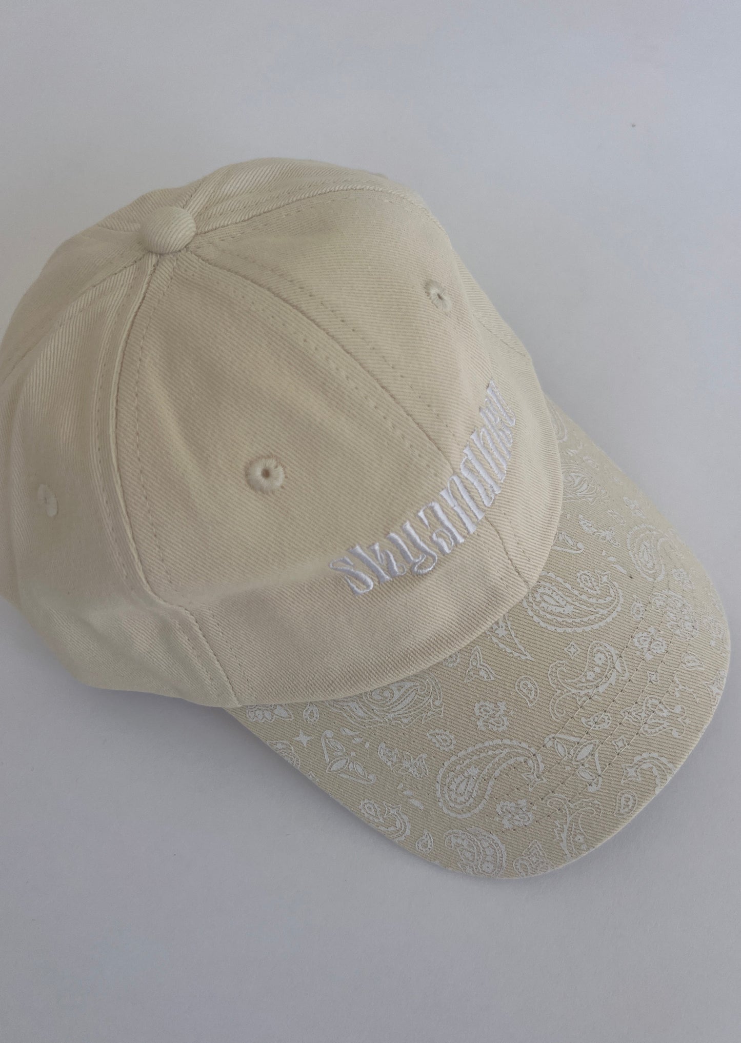 Dad Hat | Paisley